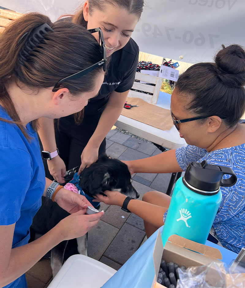 Valley Center Veterinary Clinic team member in a welcoming work environment
