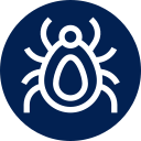 Tick parasite illustration for pet prevention and protection in Valley Center, California